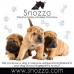 Bronze Dog Snozza